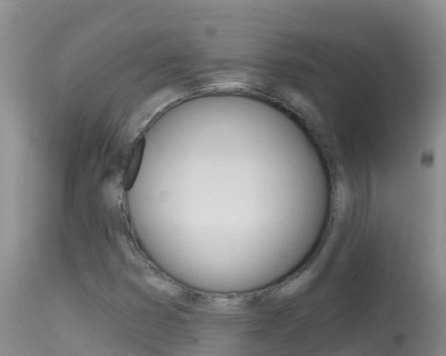X0000114401353200910161046