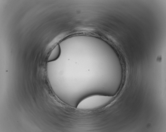 X0000114401354200910161046