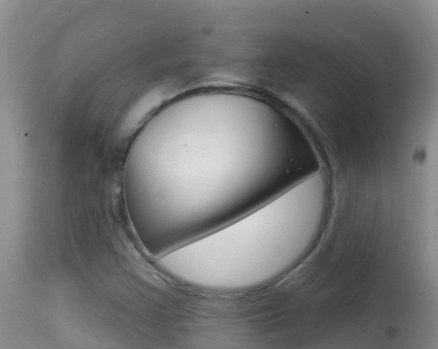 X0000114401355200910161046
