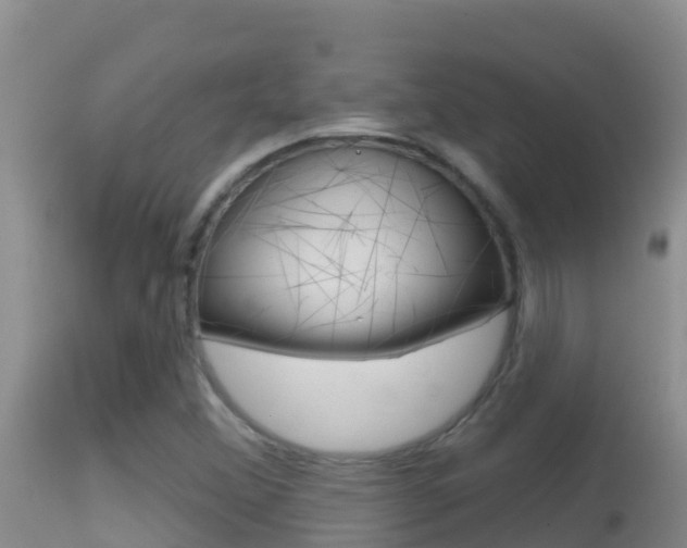 X0000114401356200910161046
