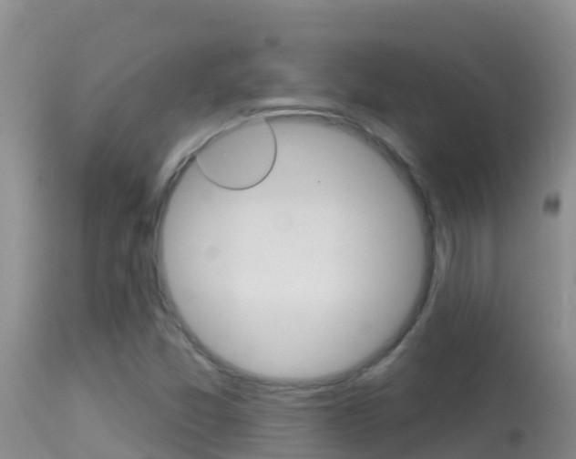 X0000114401357200910161046