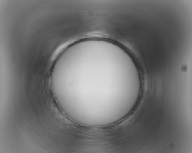 X0000114401358200910161046