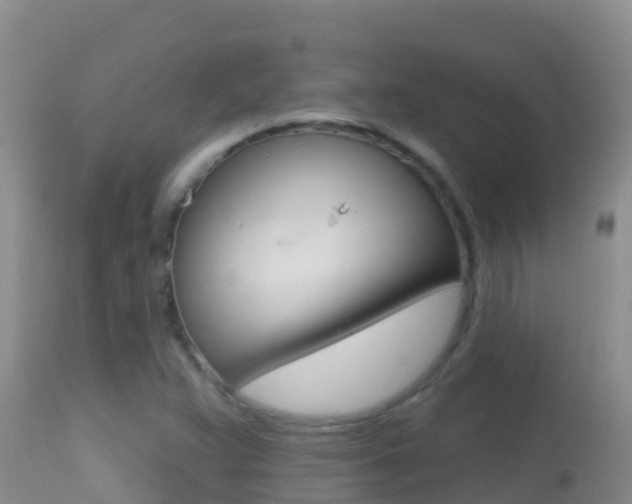 X0000114401359200910161046