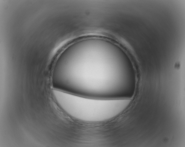 X0000114401360200910161046