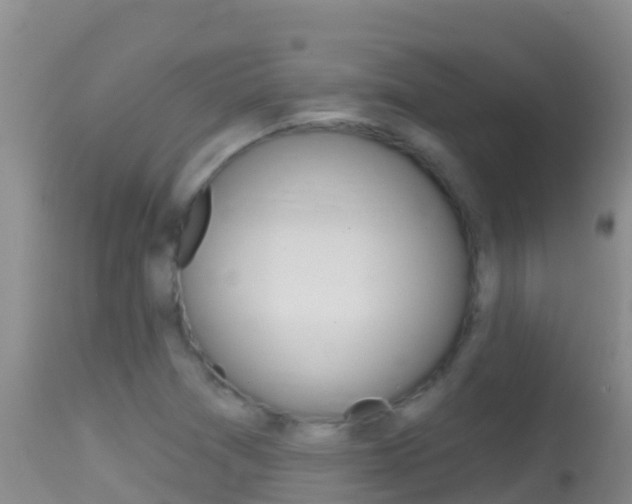 X0000114401361200910161046