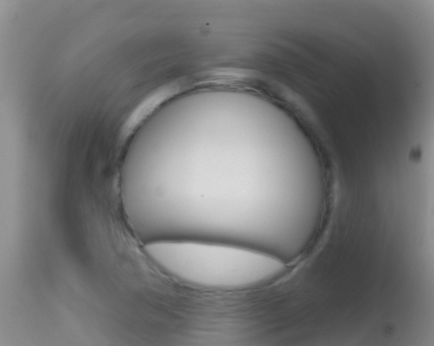 X0000114401362200910161046