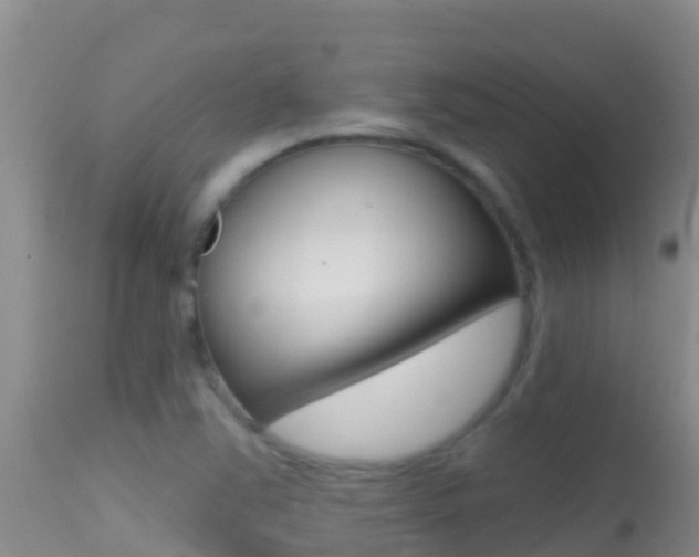 X0000114401363200910161046