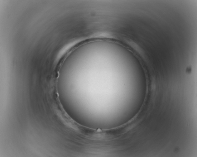 X0000114401364200910161046