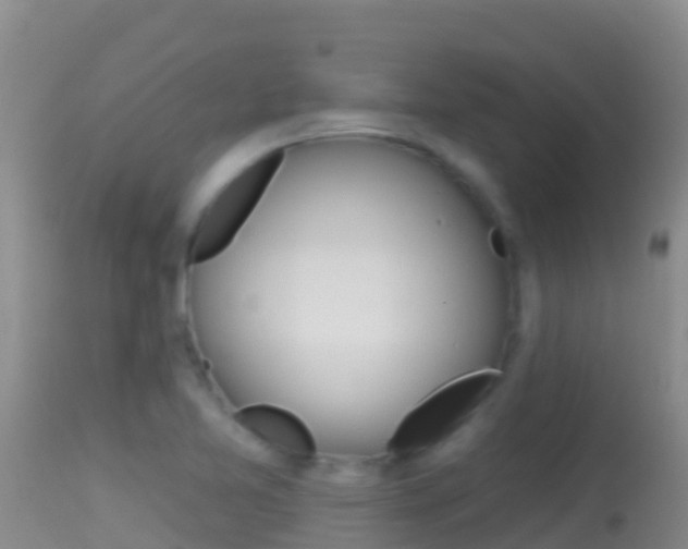 X0000114401365200910161046