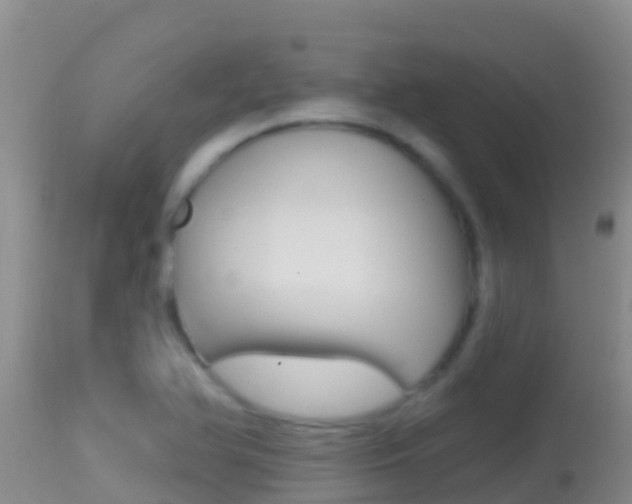 X0000114401366200910161046