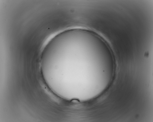 X0000114401367200910161046