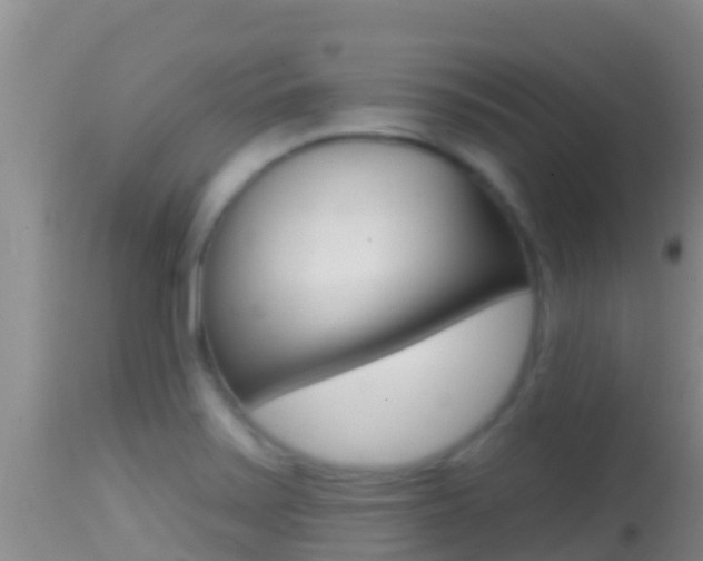 X0000114401371200910161046
