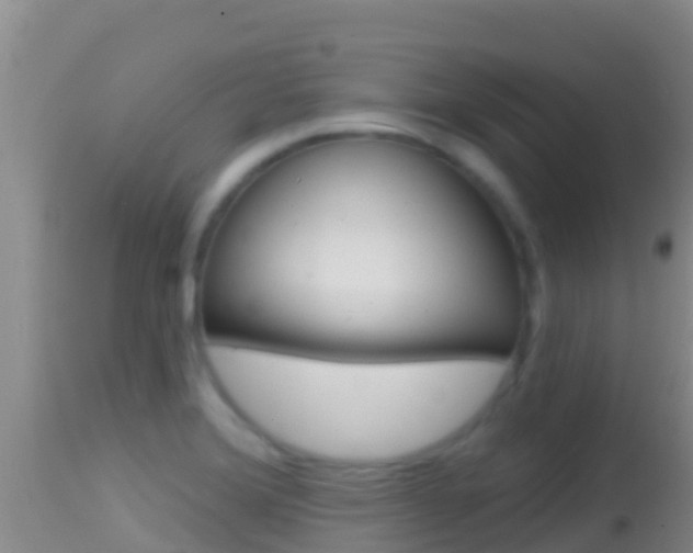 X0000114401372200910161046