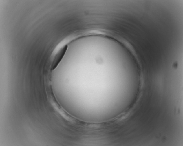 X0000114401373200910161046