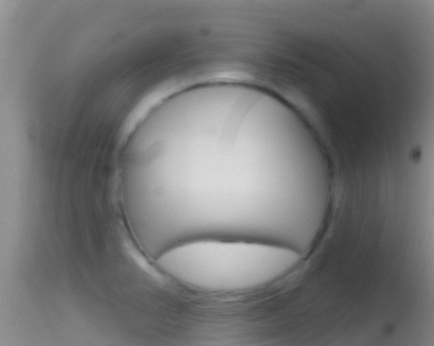 X0000114401374200910161046