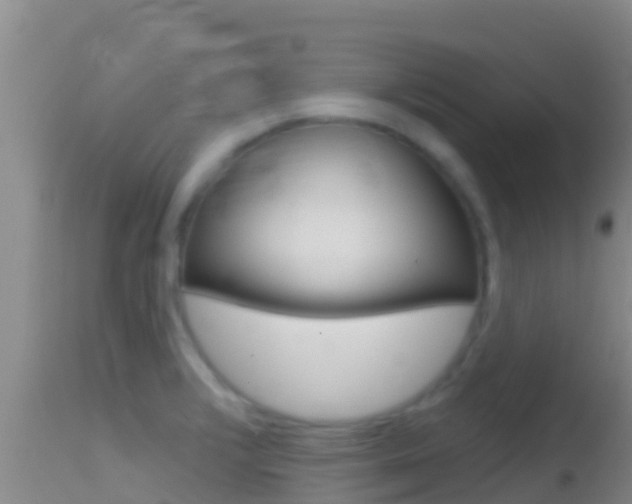 X0000114401376200910161046