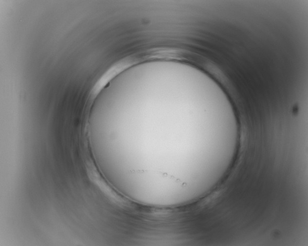 X0000114401378200910161046