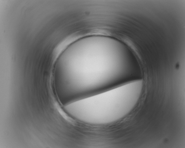 X0000114401379200910161046