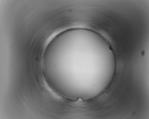 X0000114401380200910161046
