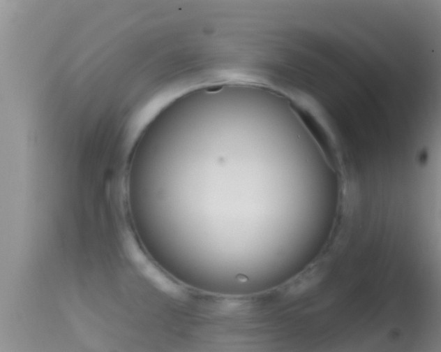 X0000114401381200910161046
