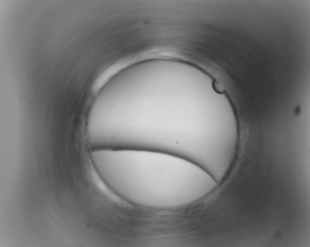 X0000114401382200910161045