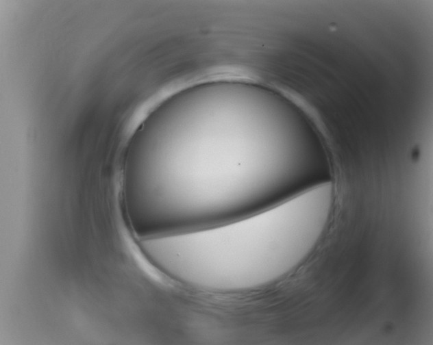 X0000114401383200910161045