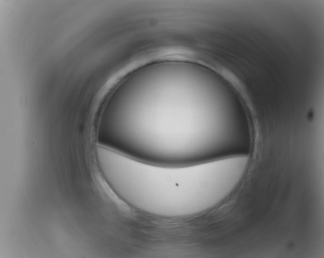 X0000114401384200910161045