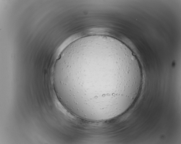 X0000114401386200910161045
