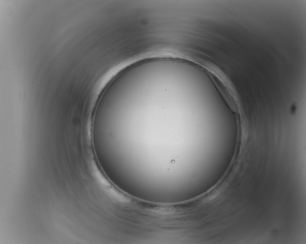 X0000114401388200910161045