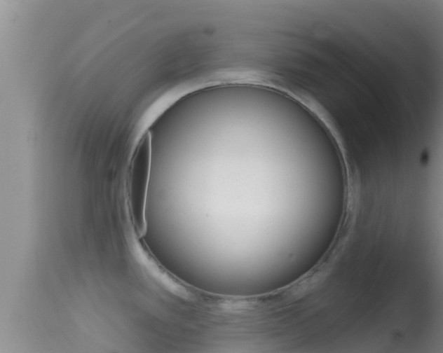 X0000114401389200910161045