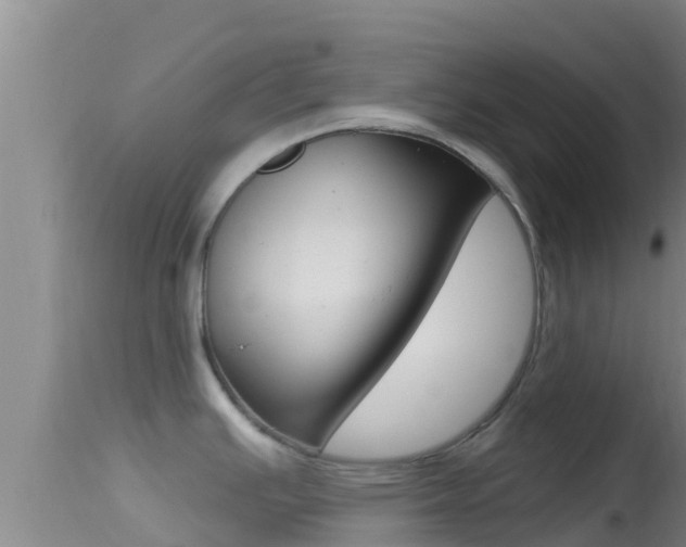 X0000114401391200910161045