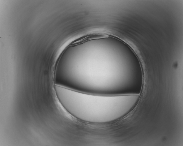 X0000114401392200910161045