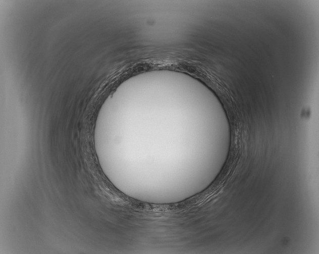 X0000114401393200910161044
