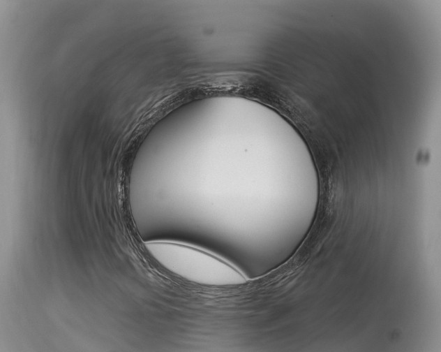 X0000114401394200910161045