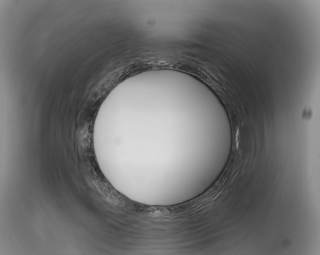 X0000114401395200910161045