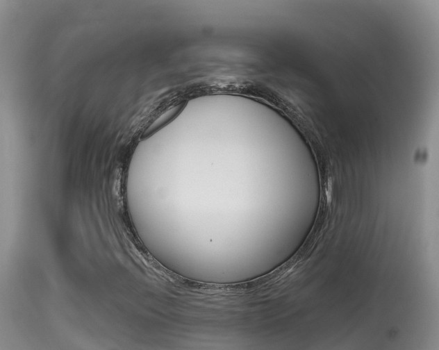 X0000114401396200910161045