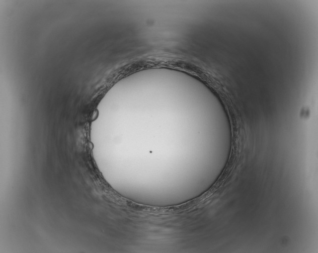 X0000114401397200910161045