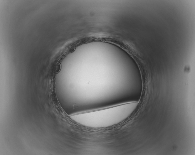 X0000114401398200910161045