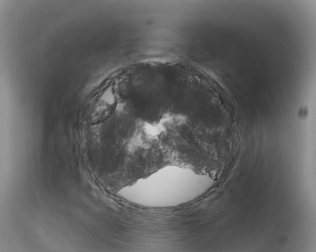 X0000114401399200910161045