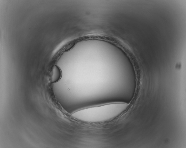 X0000114401400200910161045