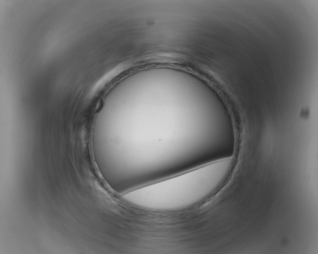 X0000114401402200910161045