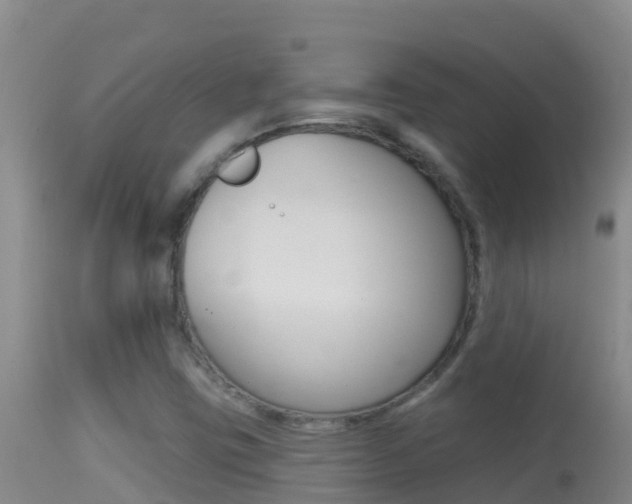 X0000114401403200910161045