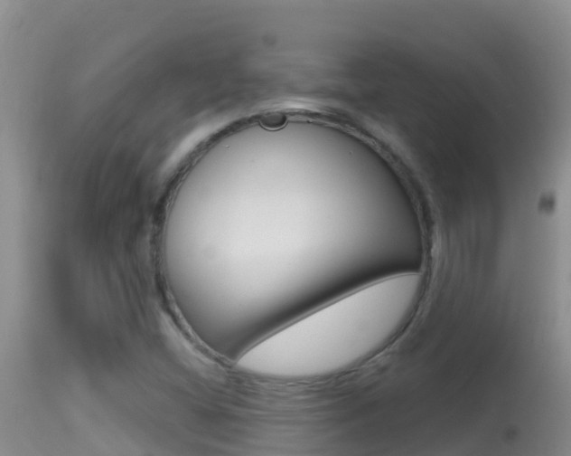 X0000114401404200910161045