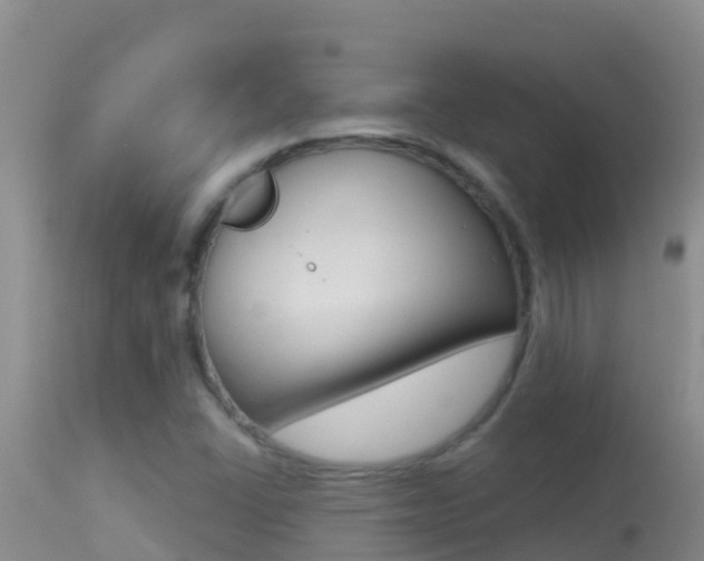 X0000114401406200910161045