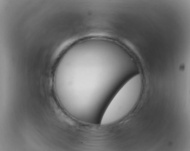 X0000114401408200910161045