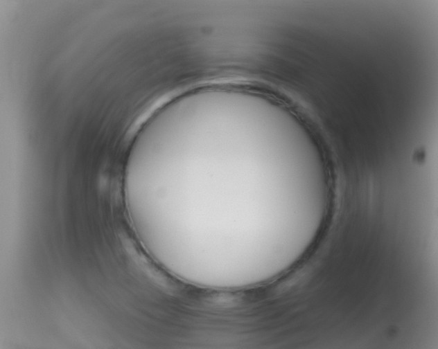 X0000114401409200910161045