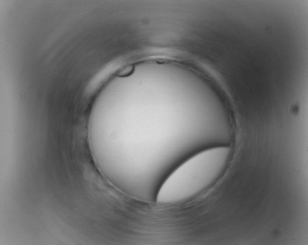 X0000114401411200910161045