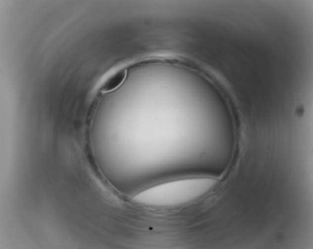 X0000114401412200910161045