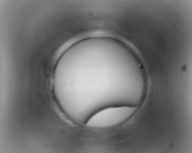 X0000114401413200910161045