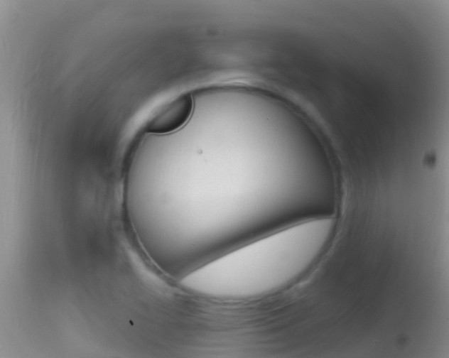 X0000114401414200910161045